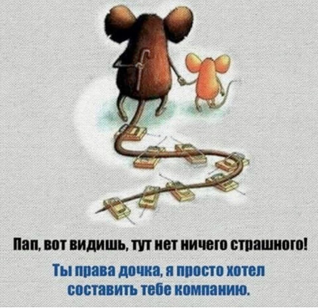 Довели
