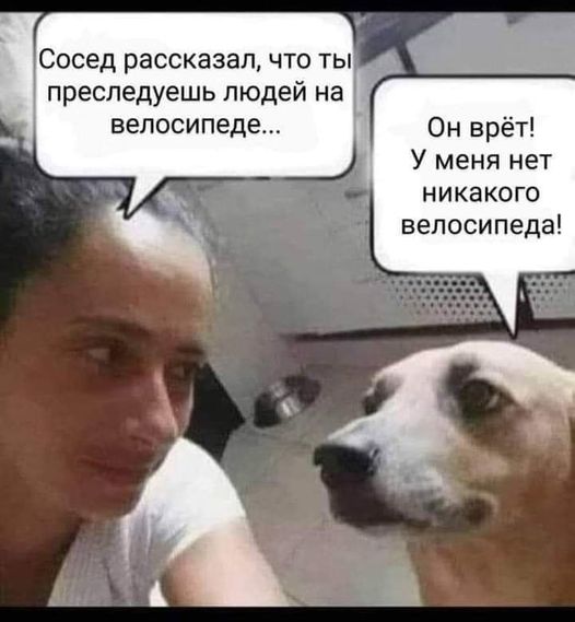 Картинки на субботу 04.12.21