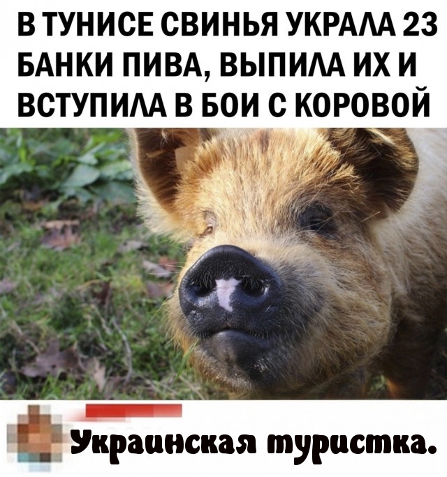 Так себе картинки 05.04.22
