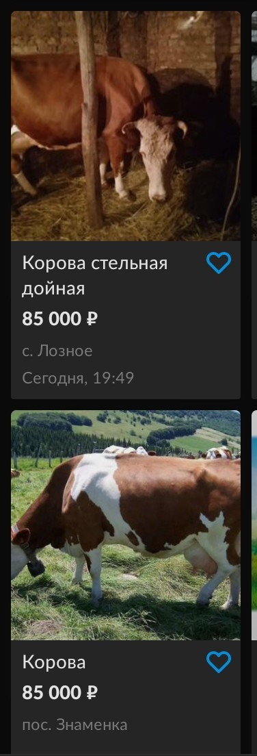 Более 40 домов получили повреждения после обстрелов села под Белгородом
