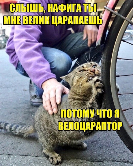 Так себе картинки 24.04.22