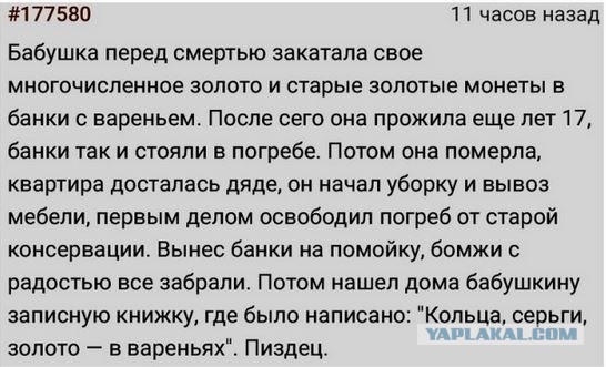 Забавные комментарии из социальных сетей (25.10.22)