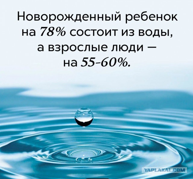 Факты. Просто факты.