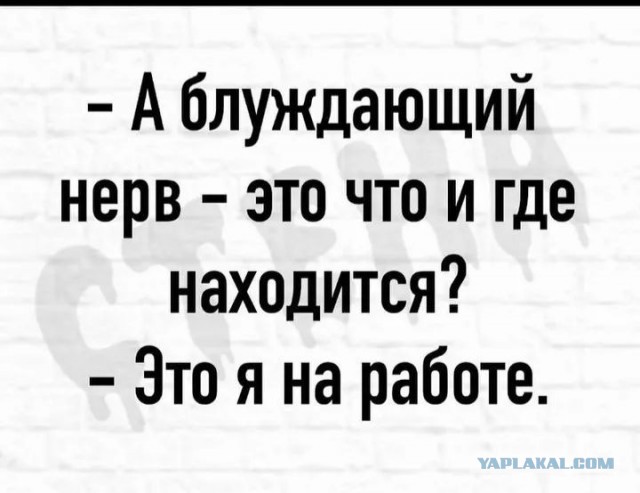Забавные картинки, шутки из этих ваших интернетов