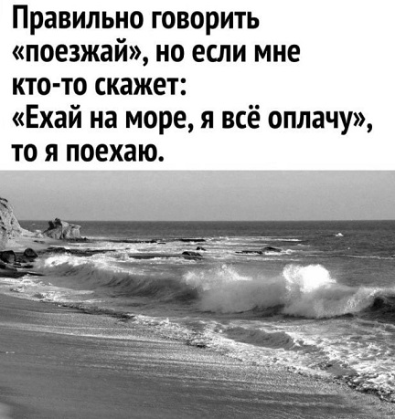 Очередь за забором