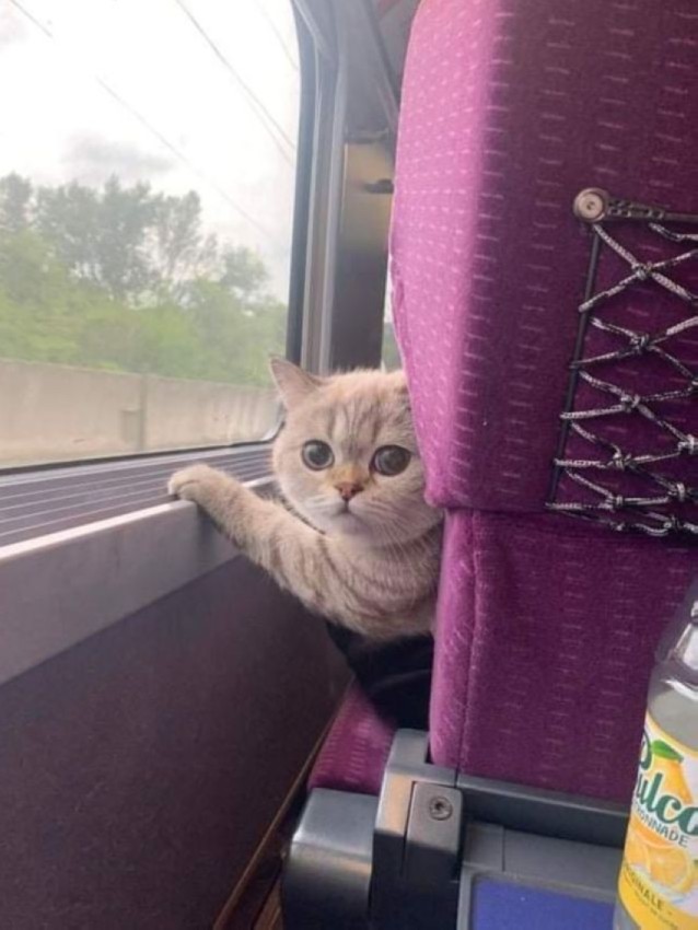 Картиночки на 18.02.2026