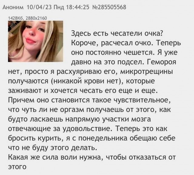 Картинки для деградации 203  (разной степени свежести)