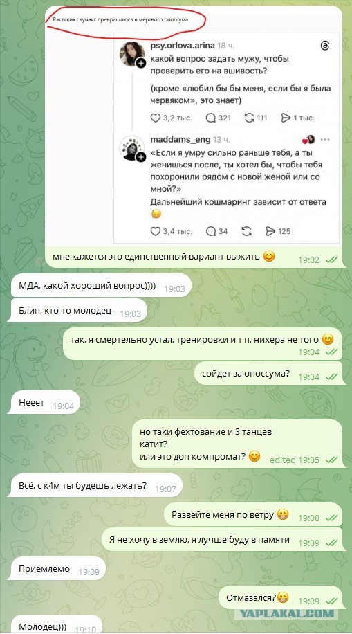 *БАЯН*мертвый опоссум, альтернативы...