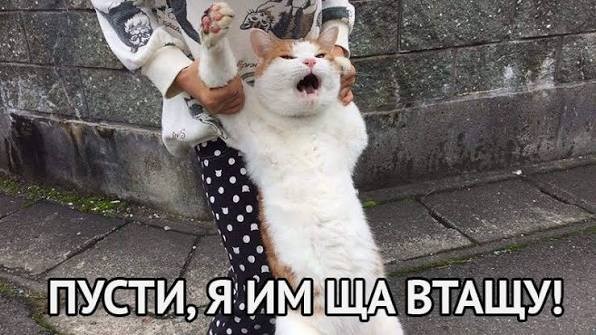 Отпусти меня, отец, я жажду насилия