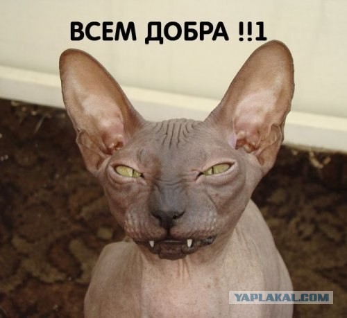 В ночь с 28 февраля на 1 марта. Без предупреждения