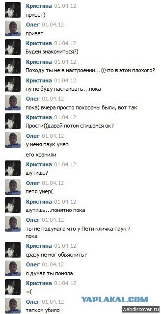 Смешные комментарии из социальных сетей