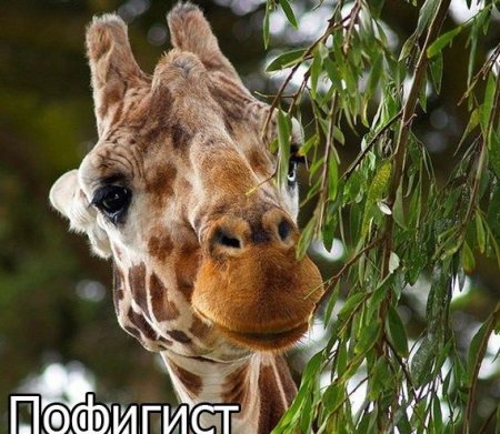 Подборка прикольных фото.
