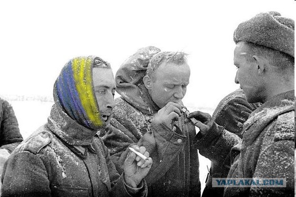 Акция скорби