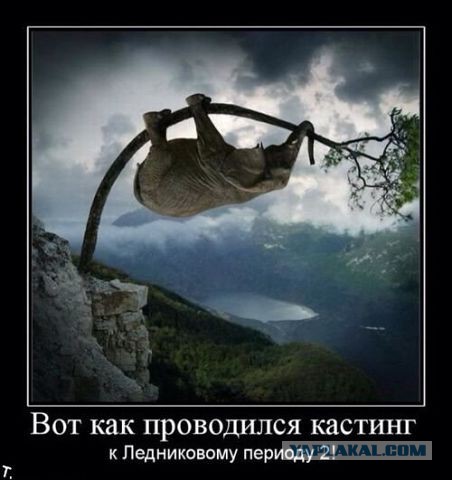 Весёлое из сети