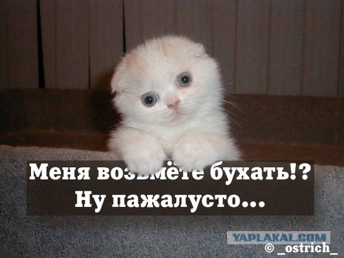 Прикольные картинки.