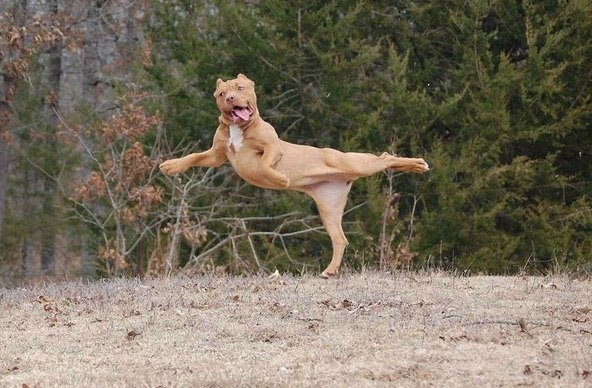 Смешные картинки