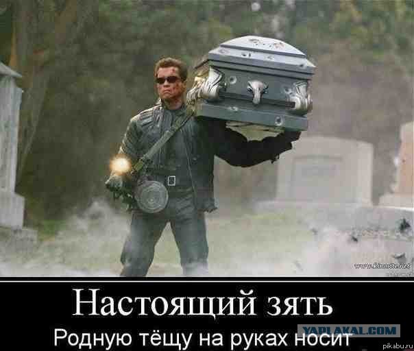 Заботливый зять