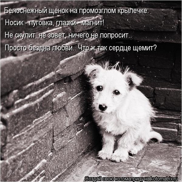 Картинки и прочее