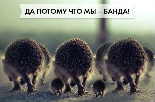 Картинки на утро вторника