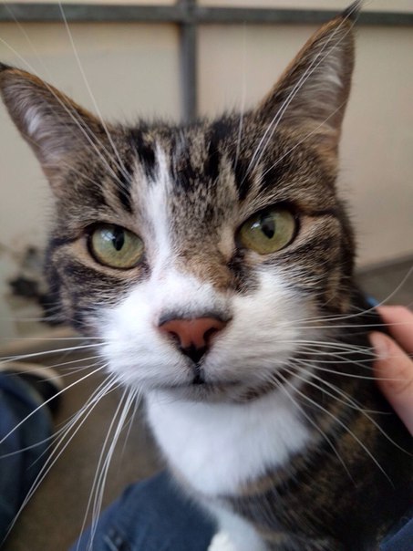 Подборка картинок на среду