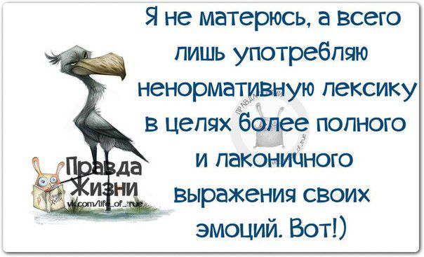 Мой последний пост