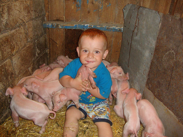 Субботняя подборочка картинок