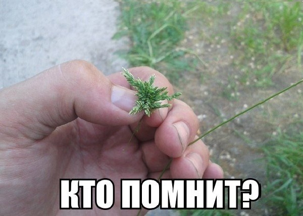 Подборка интересных и смешных картинок
