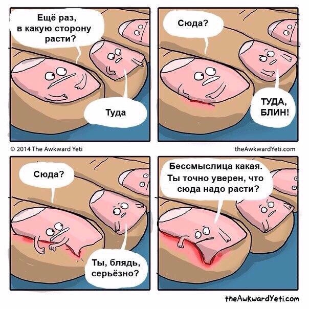 Картинки смешные и тупые