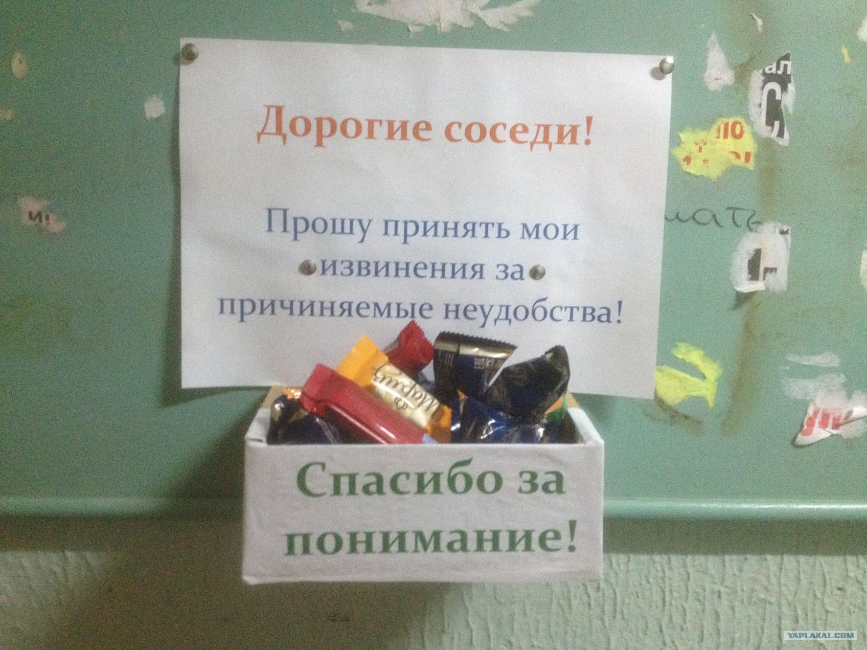 Квартирант знает как извиниться перед жопастенькой хозяйкой