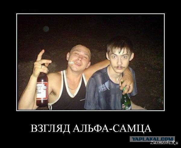 Как задроты ищут свою любовь в сети, испугавшись реальной жизни