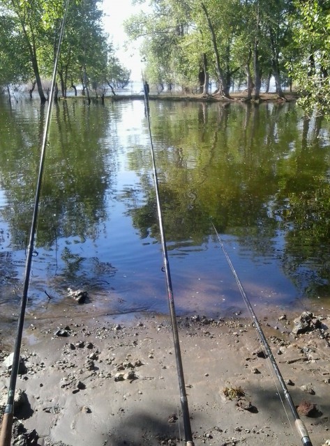 Топ-7 мест для отдыха в Волгоградской области