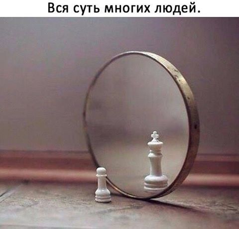 Ах. Этот прекрасный мир!