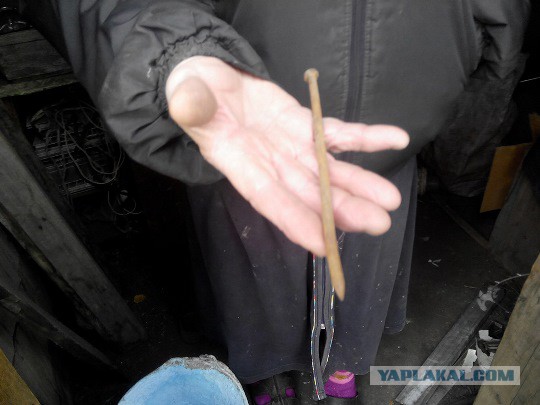 Право свободного человека