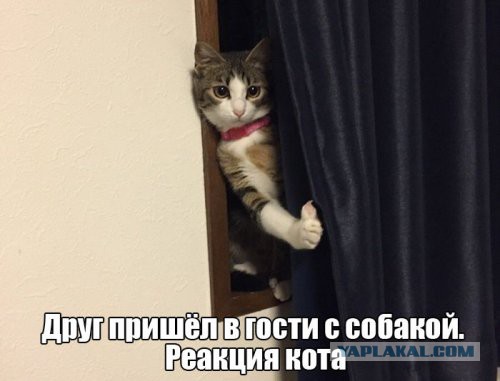 Подборка интересных и веселых картинок