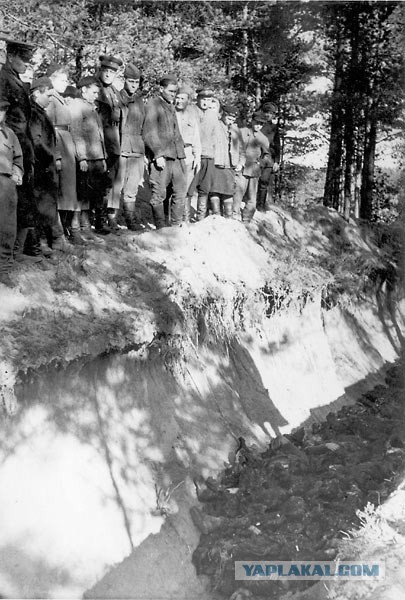 В эстонских, европейских лагерях. 1941-44 г.