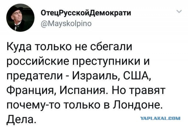 Хвост вильнул собакой - Новичок это подстава?