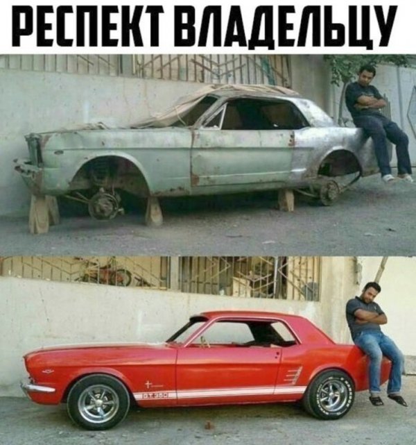 Приколы в картинках или прикольные картинки?