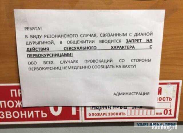 Фотографии из женских общежитий, которые не показывают родителям