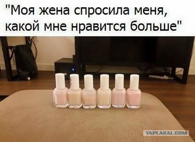 Картинки юморные и тексты