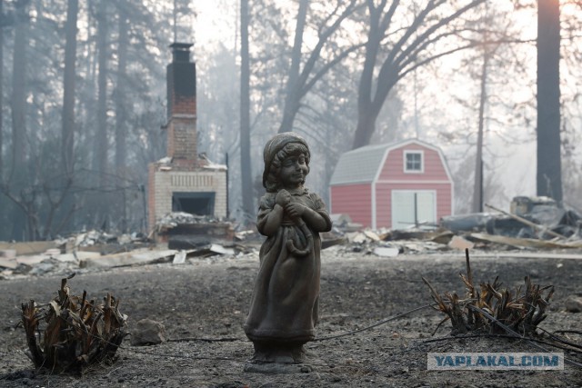 Фотографии последствий самого смертоносного пожара в Калифорнии