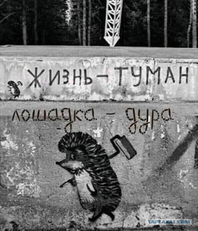 «Бродячие» философы: 17 глубокомысленных заметок в транспорте и на улицах
