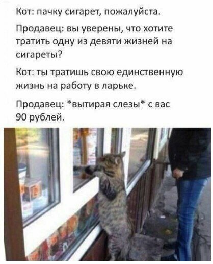 Немного картинок для настроения
