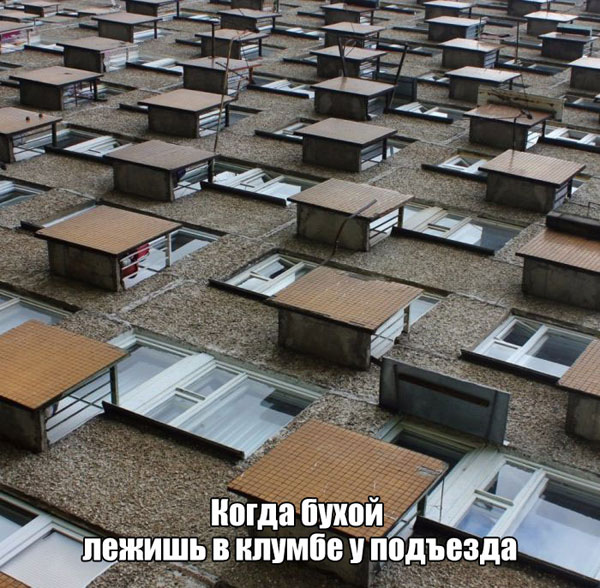 Немного картинок для настроения 11.12.19