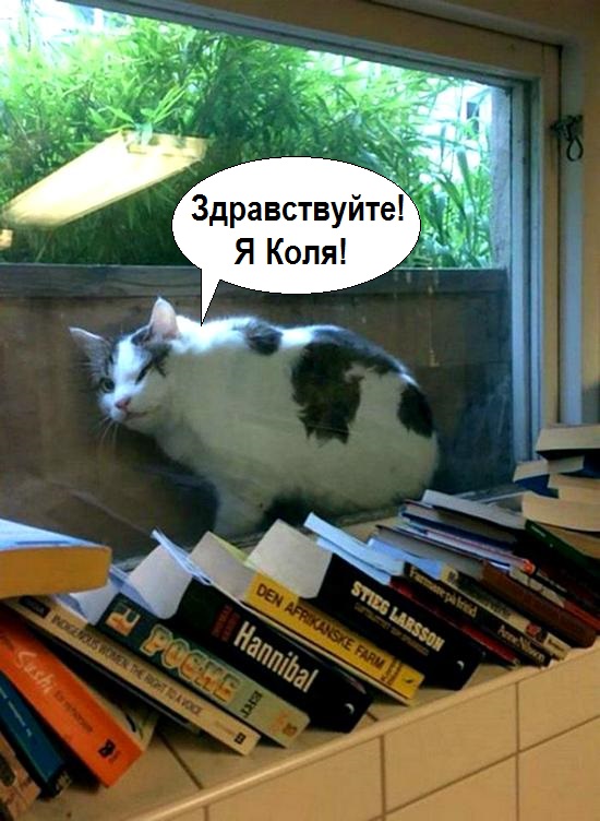 Бредзона 02.05.20