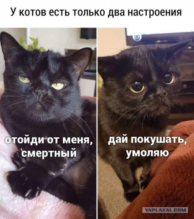 Бредзона 14.05.20