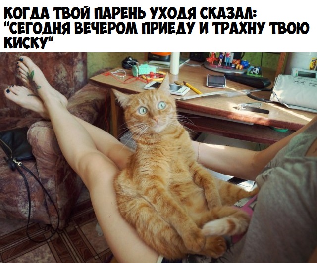 Ещё немного слегка пошлых картинок с надписями 16+ (11.06)