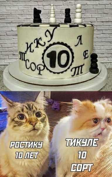Немного картинок для настроения 07.07.20