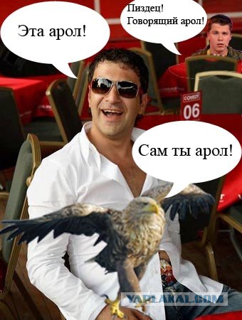 Суровый орел