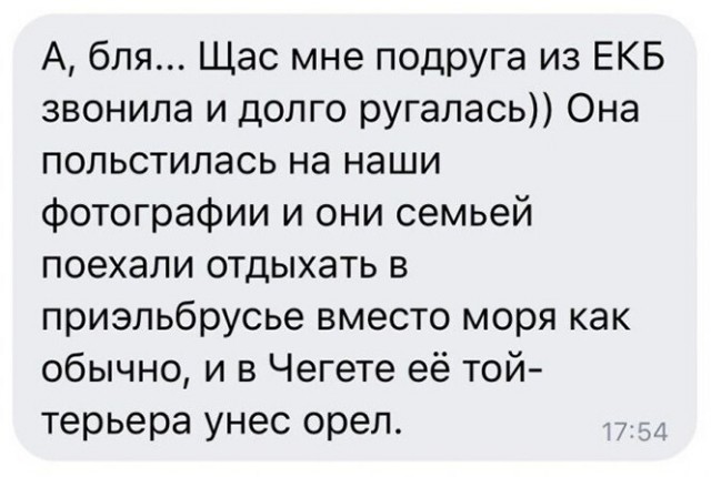 Забавные шутки, картинки и фразы из этих ваших интернетов