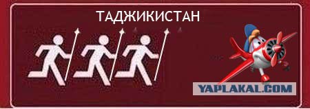 Кто и где за кем гоняется?